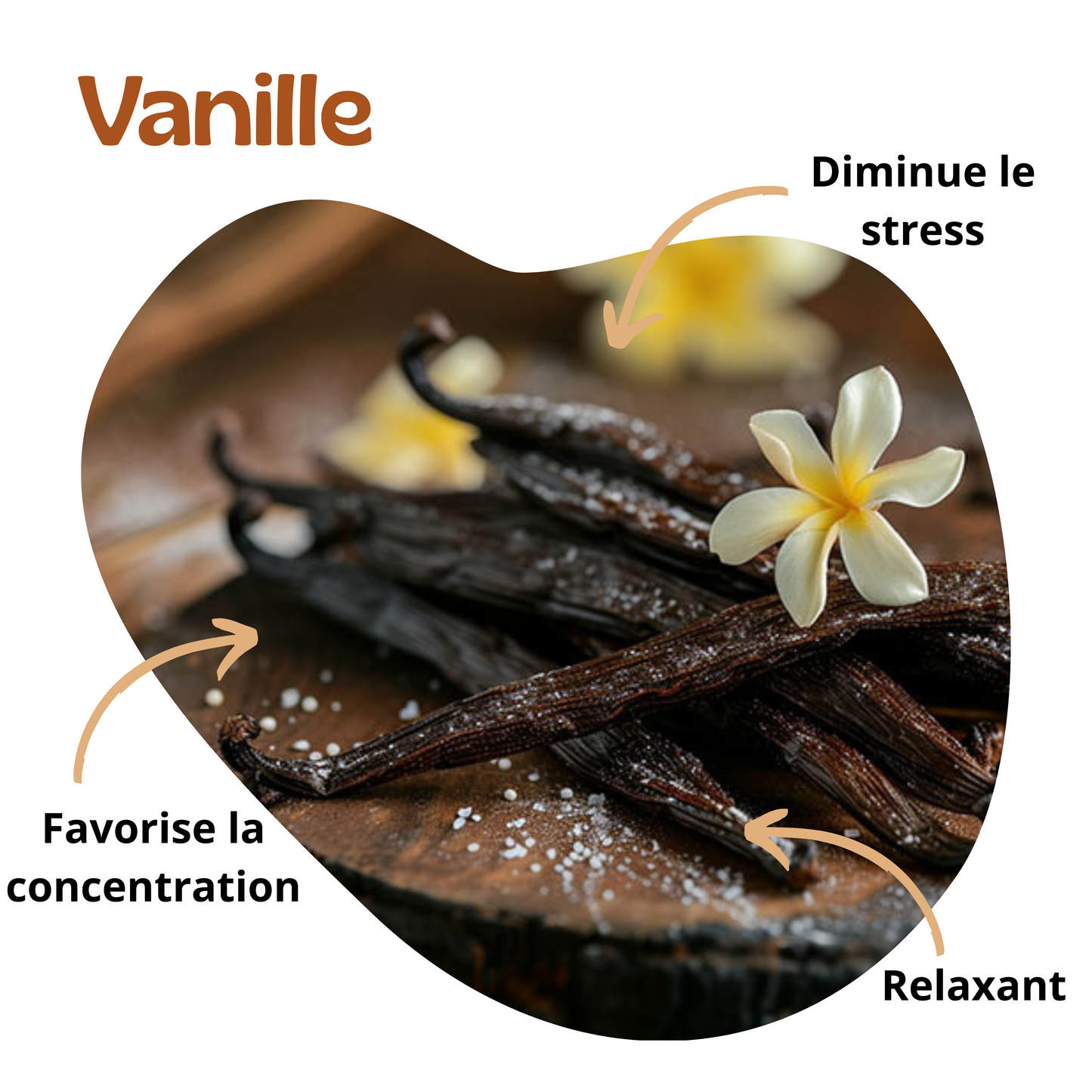 Bienfaits de la vanille