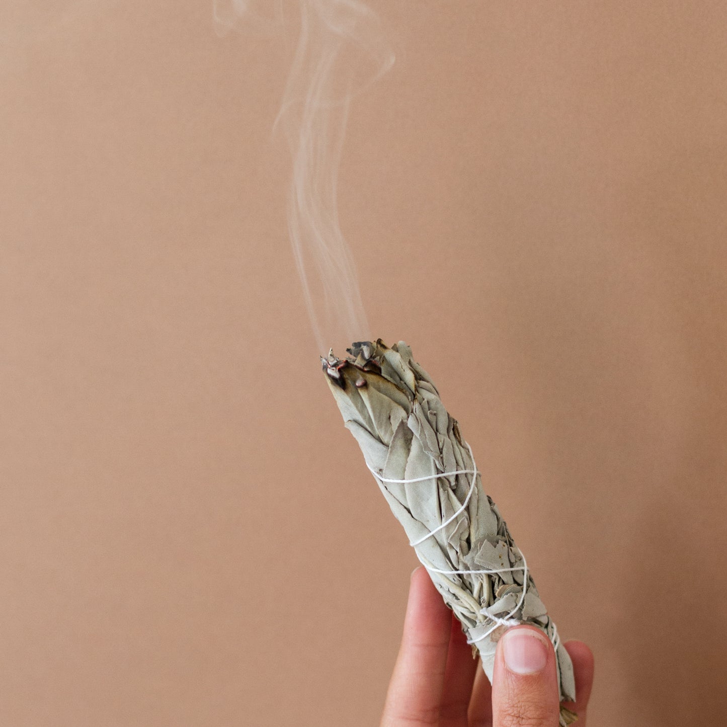 Poudre Cade & Sauge blange