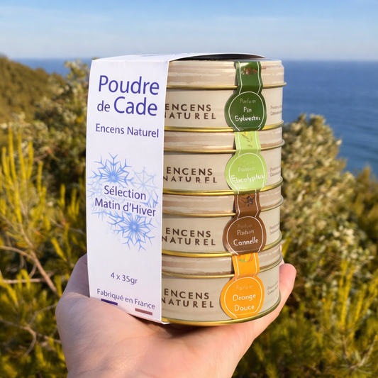 Sélection Matin d'hiver - Cannelle, Eucalyptus, Orange Douce & Pin Sylvestre