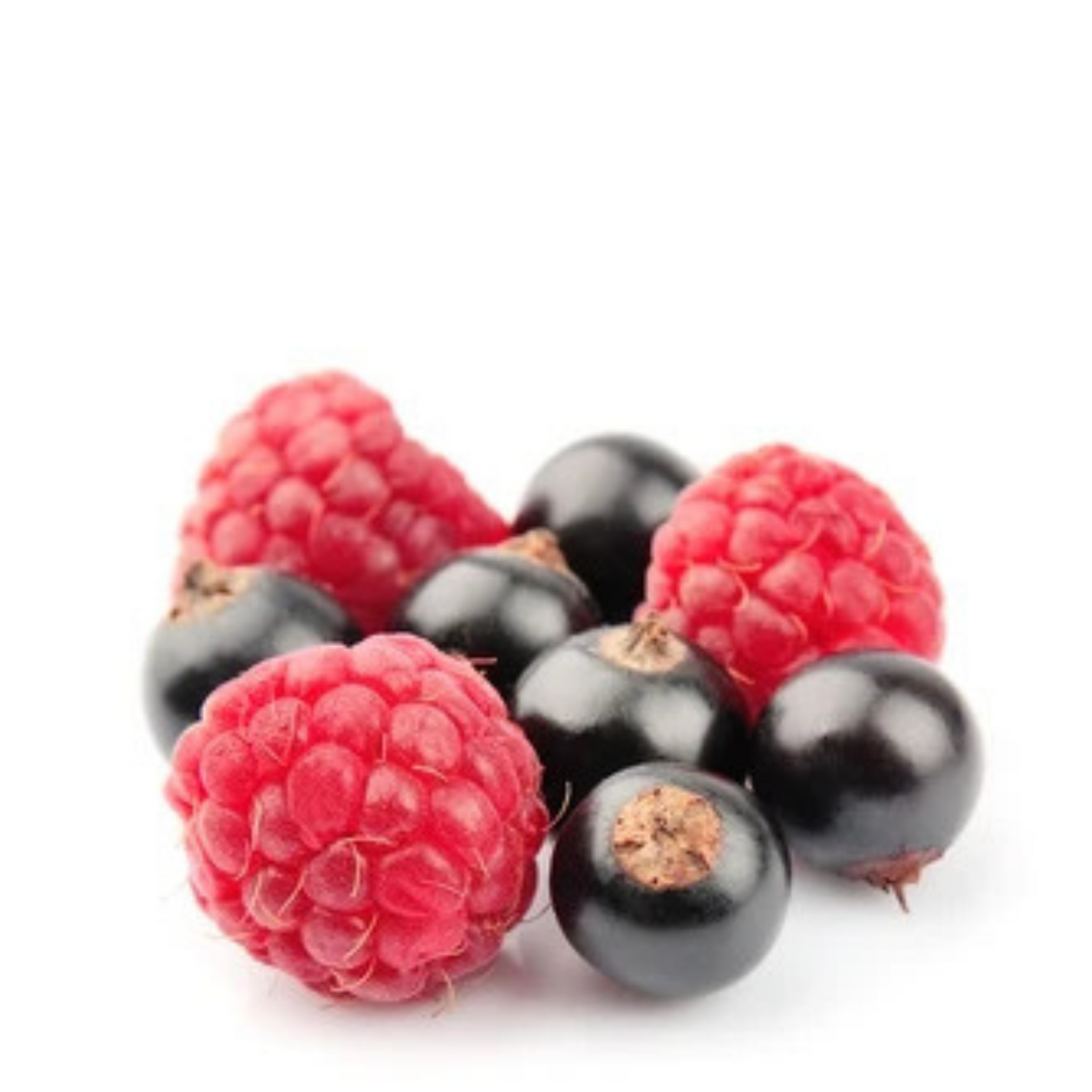 Framboise-cassis illustration