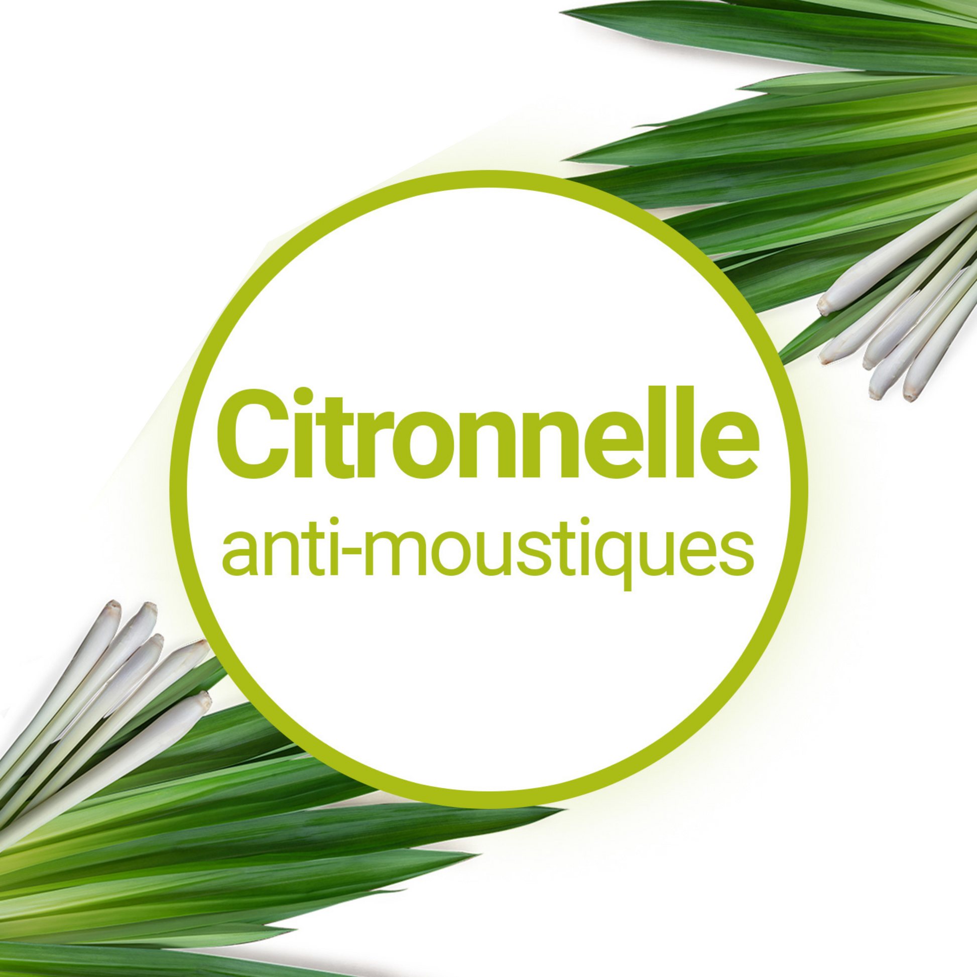 Anti-moustiques icône