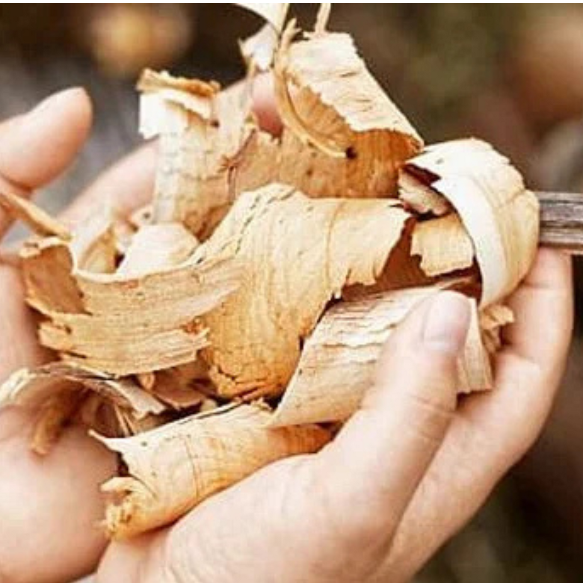 Copeaux de bois de cade