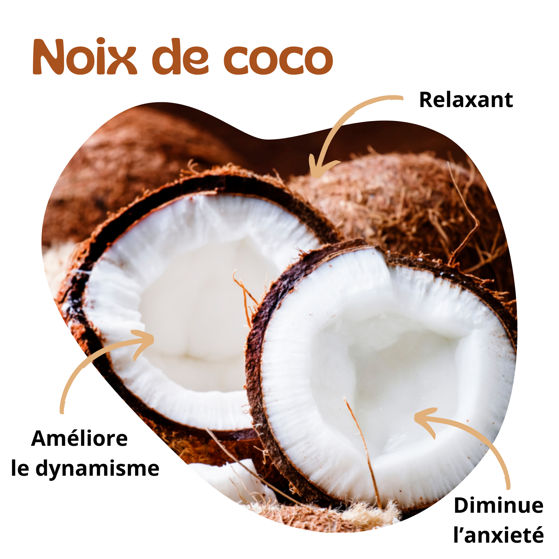 Bienfaits de la noix de coco