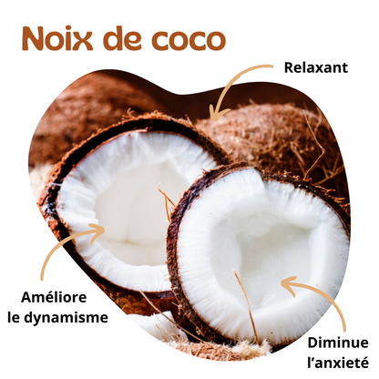 Bienfaits de la noix de coco