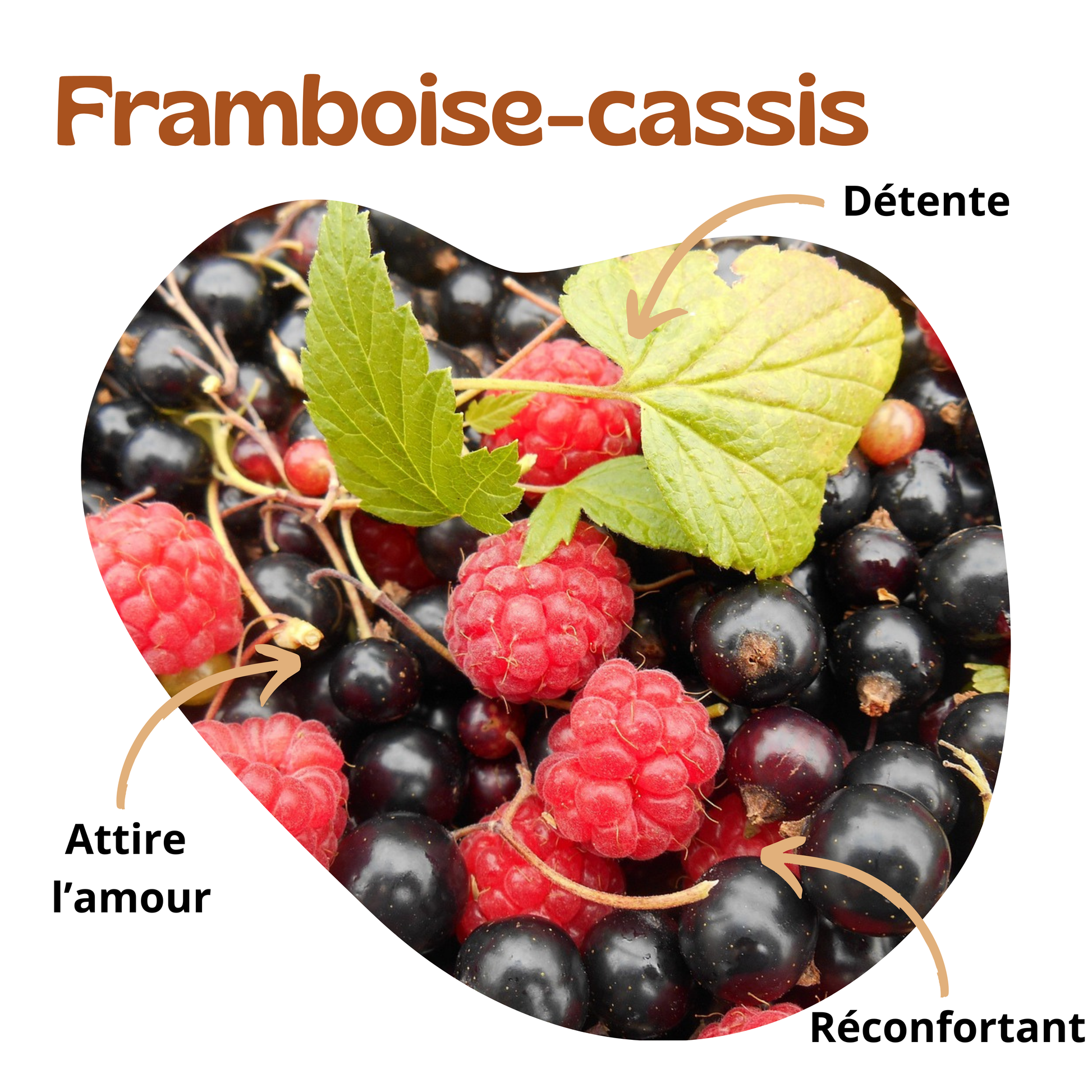 Bienfaits de framboise-cassis