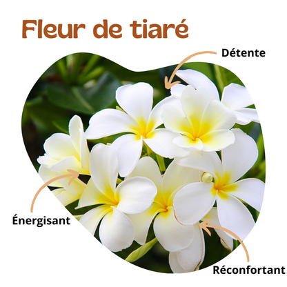 Bienfaits de la fleur de tiaré