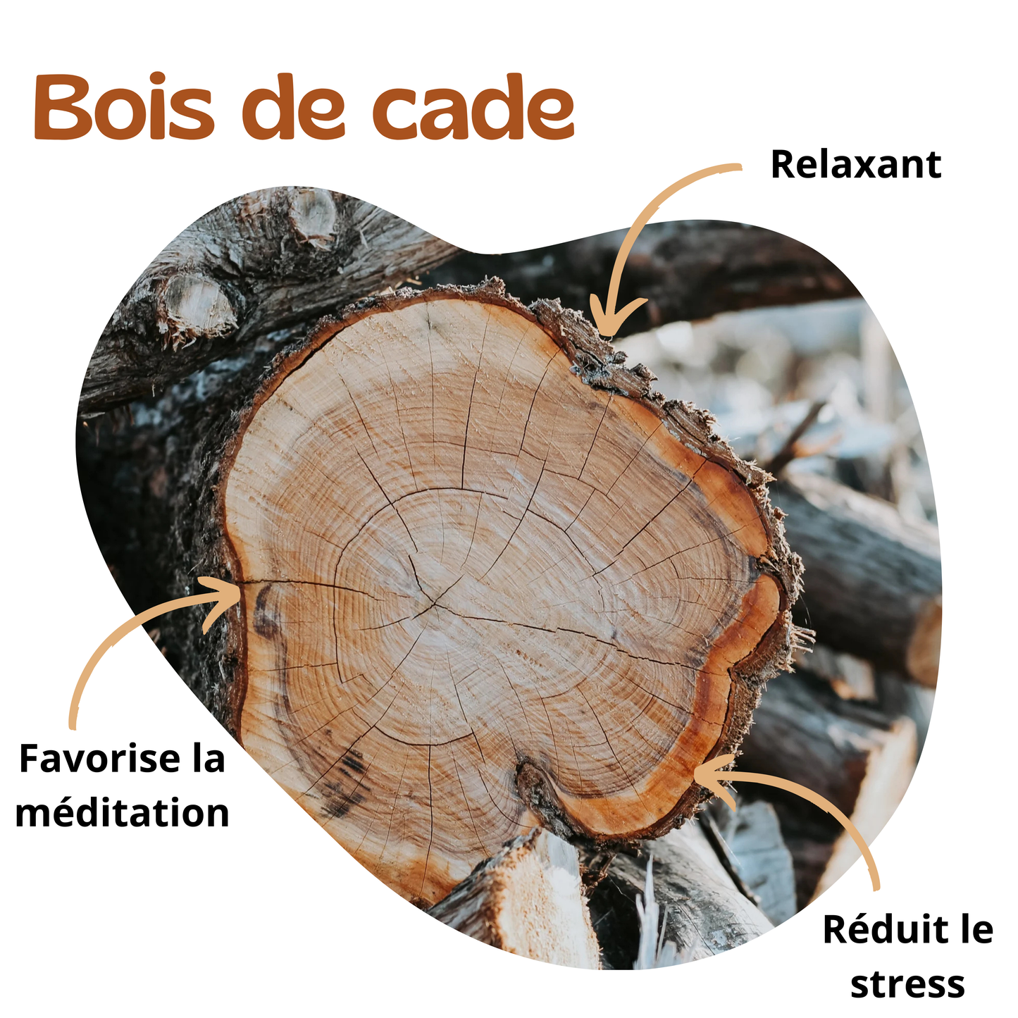 Bienfaits du bois de cade