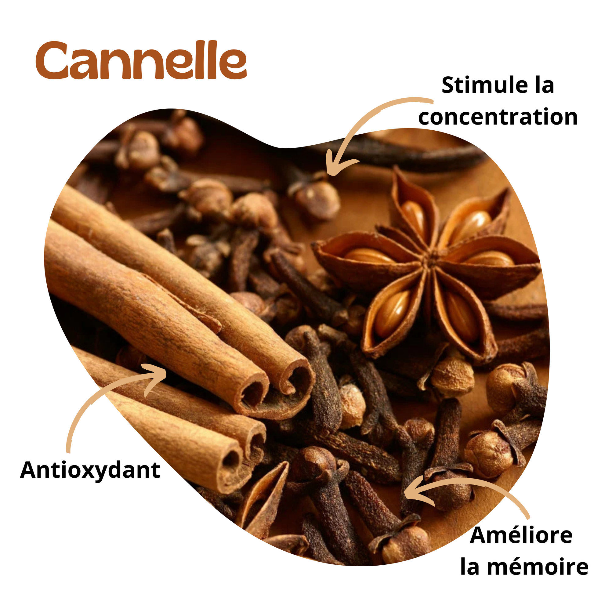 Bienfaits de la cannelle