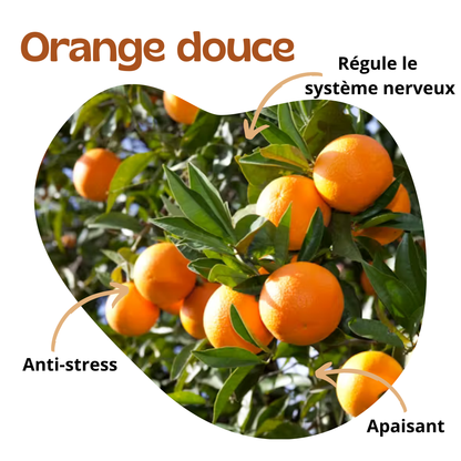 Bienfaits de l'orange douce