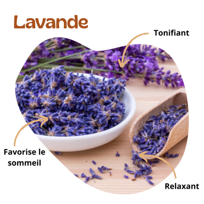 Bienfaits de la lavande