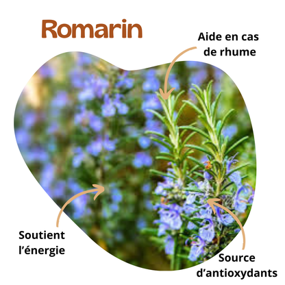 Sélection Les quatre Purifiants - Sauge Blanche, Palo Santo, Nature & Romarin
